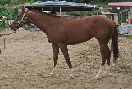 ���� ����