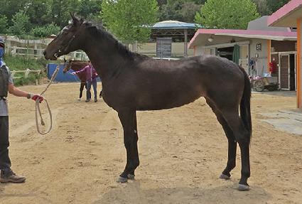 Ʈ������ ����