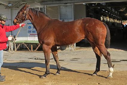 ����Ǯ�� ����