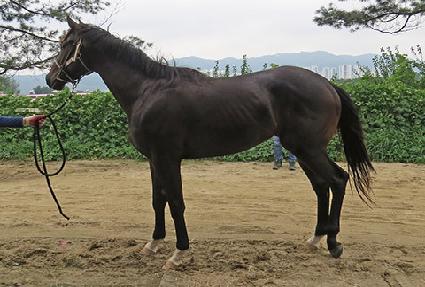 �۾Ͽ��̽� ����