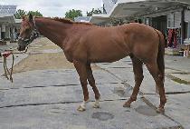 ����Ŭ���� (RULES CLASS) ����