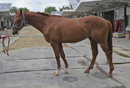 ����Ŭ���� ����