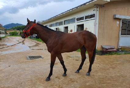 �ο�æƮ ����