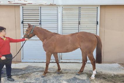 �糪�� ����