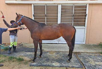 ��Ʈ��Ʈ ����