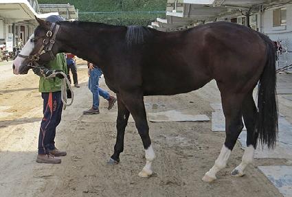 �����׶��� ����