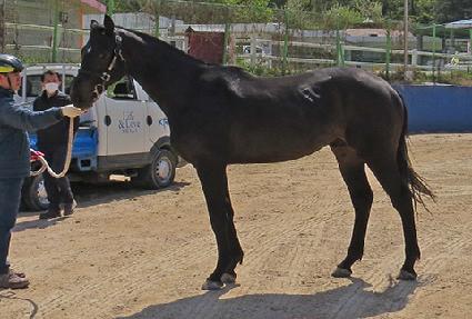 ���̾�ε� ����