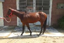 INFINITY WIN picture