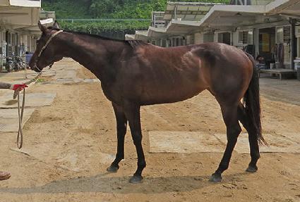 ���Ӵ�� ����