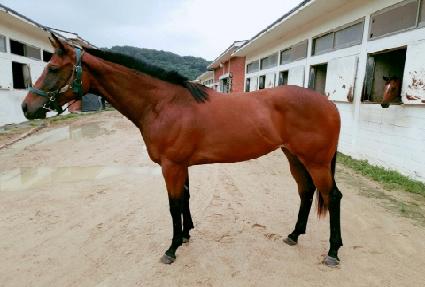 �ͽ��������� ����