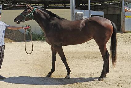 �ϴ� ����