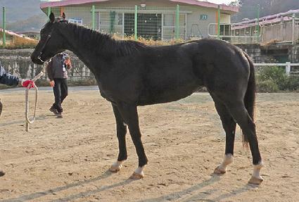 ����Ʈķ�� ����