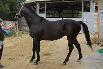 ������ (WONDONG GIL) ����