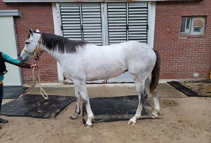 ȭ��Ʈ������ ����