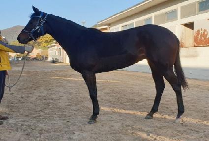 ��°��� ����