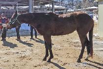 �����Ϸ��̵� (SMILE LADY) ����