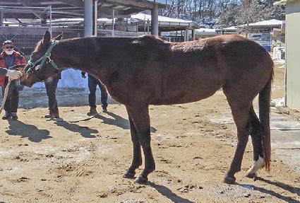 �����Ϸ��̵� ����