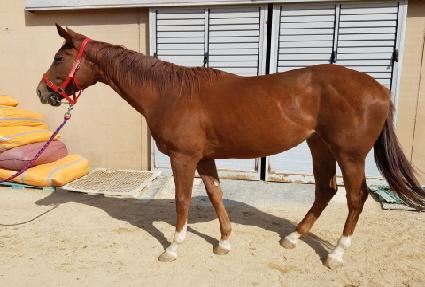 �Ƶ����� ����