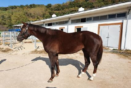 ����Ǯ���̵� ����