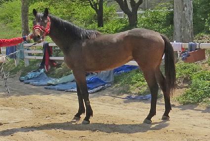 �����ѱ�� ����