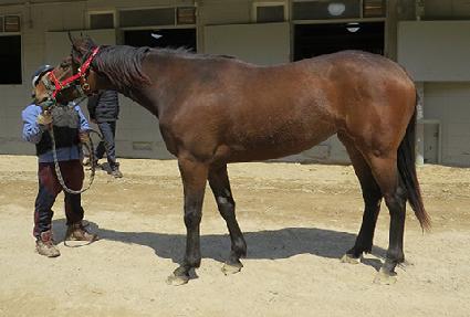 �����Ѵ�� ����