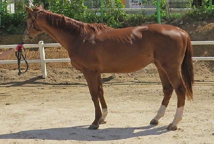 ���ǵ尡�� ����