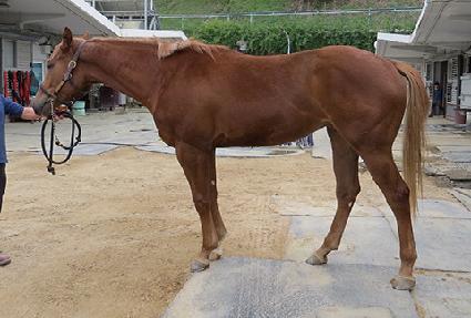 ���Ĺ ����