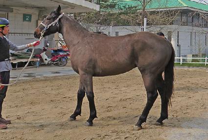 �������� ����