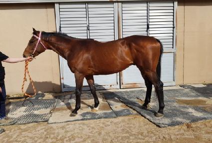 �ʱ׸� ����