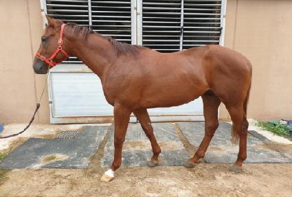 ¯�� ����