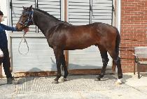 �ϴÿ︲ (HANEUL ULLIM) ����