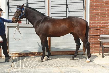 �ϴÿ︲ ����