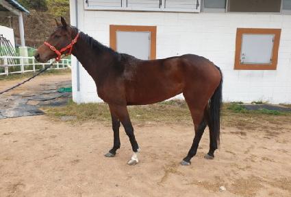 ��Ÿ���� ����