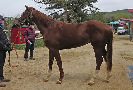 �ö���ī�� ����