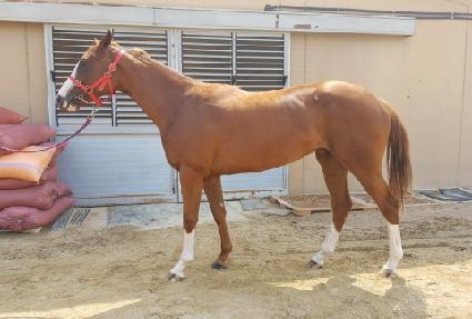 ��õ��� ����