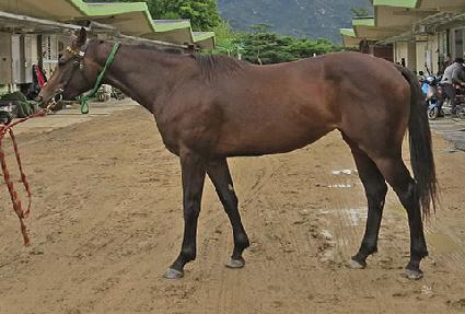 ��õ��� ����