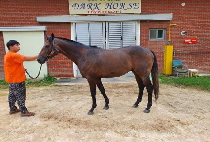 �����Ƿε� ����