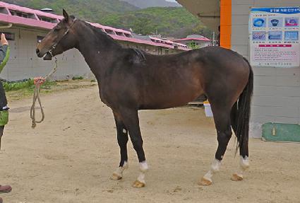 ���ǾƵ� ����