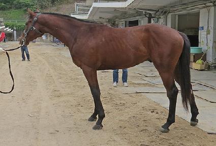 ��õ���� ����