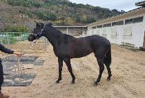 ���丮 (BIG STORY) ����