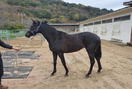 ���丮 ����