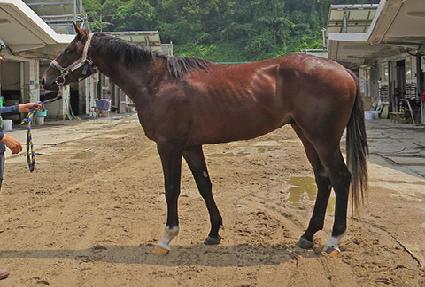 �����ô�� ����