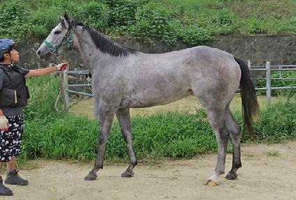 �κ��ͽ� ����