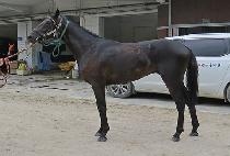 �ݿ�����ϵ� (CALL OF WILD) ����