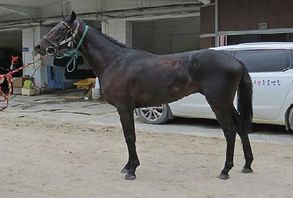 �ݿ�����ϵ� ����