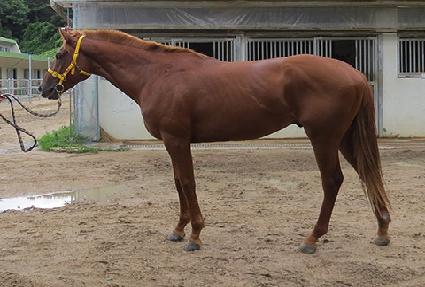 ��̴����� ����