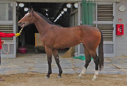 �������� ����