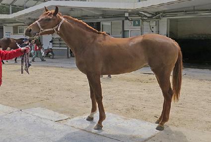 �Ž����� ����