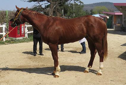 �������Ű� ����