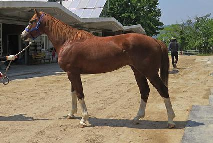 ����Ǯȭ�� ����